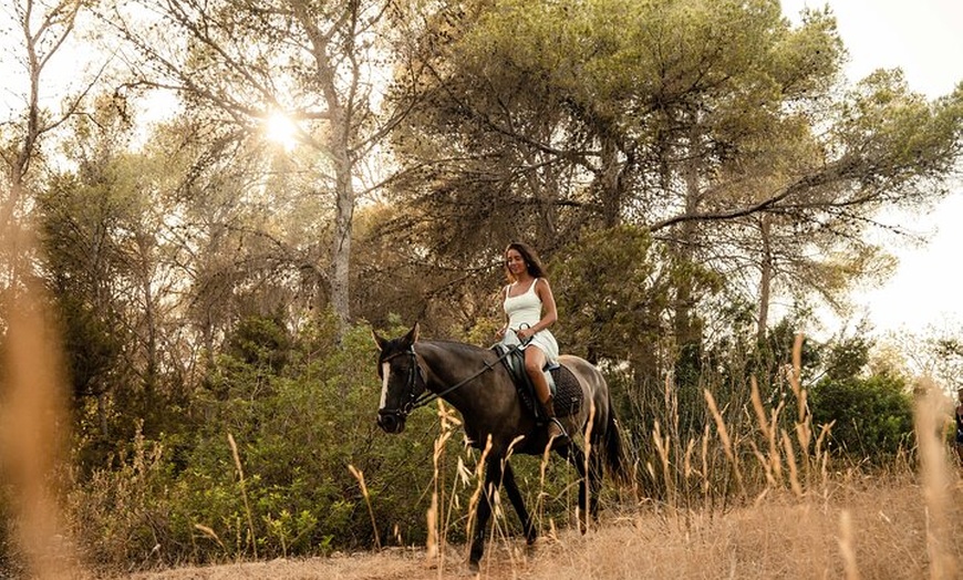 Image 2: Ibiza: Experiencia privada de naturaleza a caballo