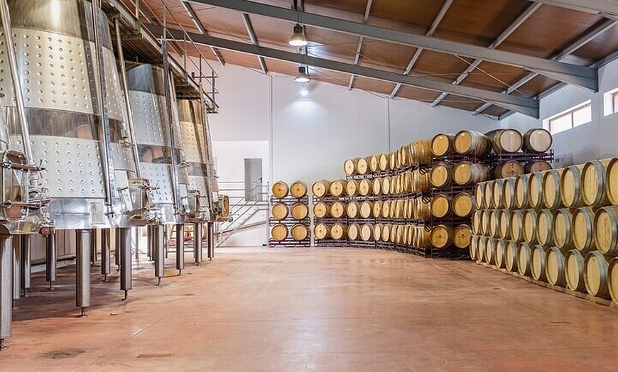 Image 10: Excursión por el viñedo de Valencia : Brunch rústico a la parrilla ...