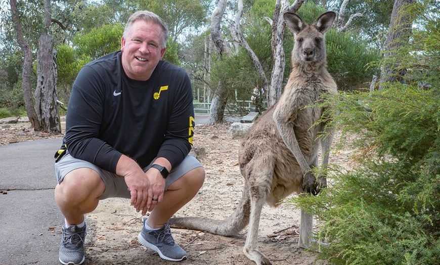 Image 8: Quad Biking, Koalas and Kangaroos - Private Tour