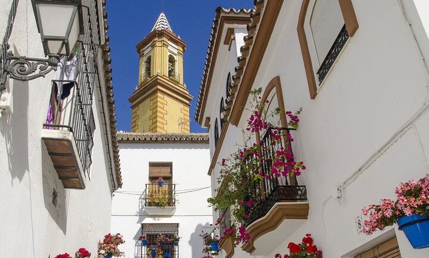 Image 5: City Bike Guided Tour : Descubre Estepona Secretos mejor guardados