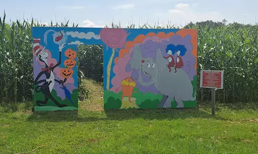 $20 for $40 worth of 4 Admissions to the Regular Corn Maze 2025 Season
