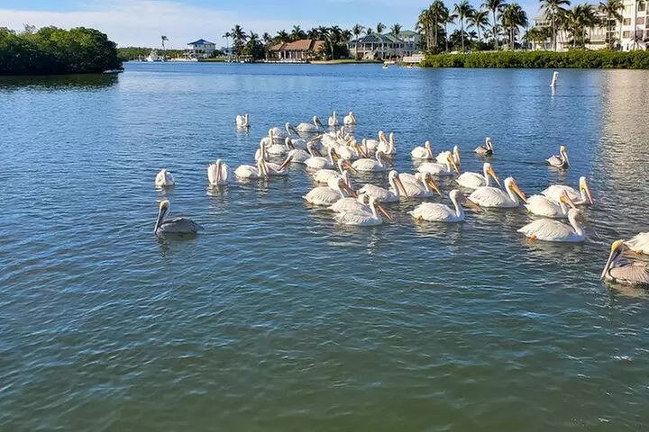 Sunset Dolphin Cruise with Sanibel Lighthouse Views