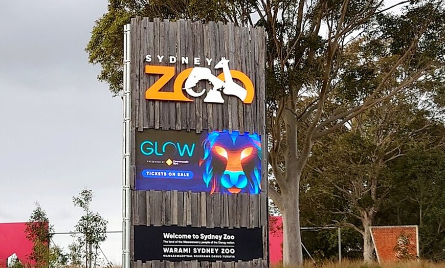 Image 7: Private Sydney Tour to Featherdale Wildlife Park