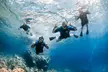 Snorkel with Turtles and Free Underwater Photos Lahaina - Second Medium