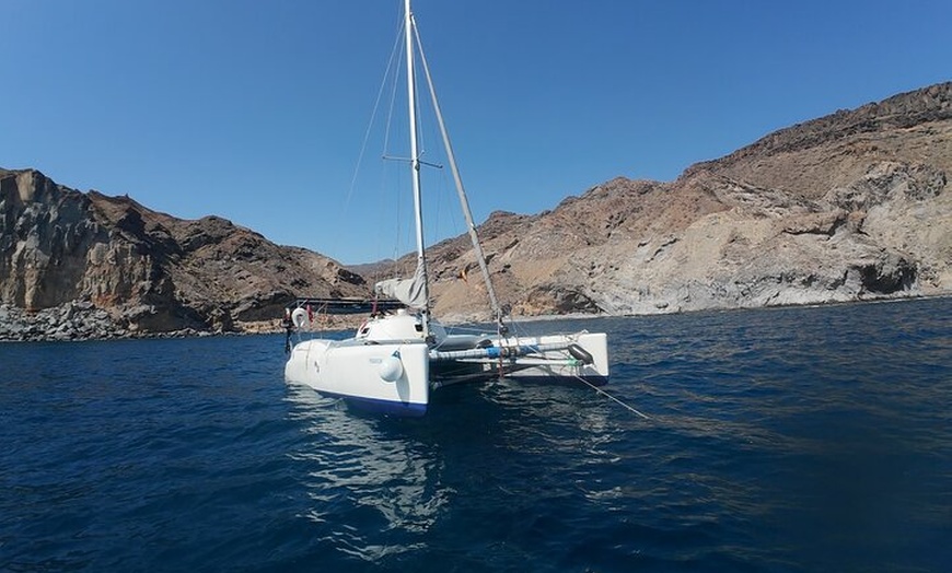 Image 15: Excursiones ecológicas en Catamarán en Gran Canaria