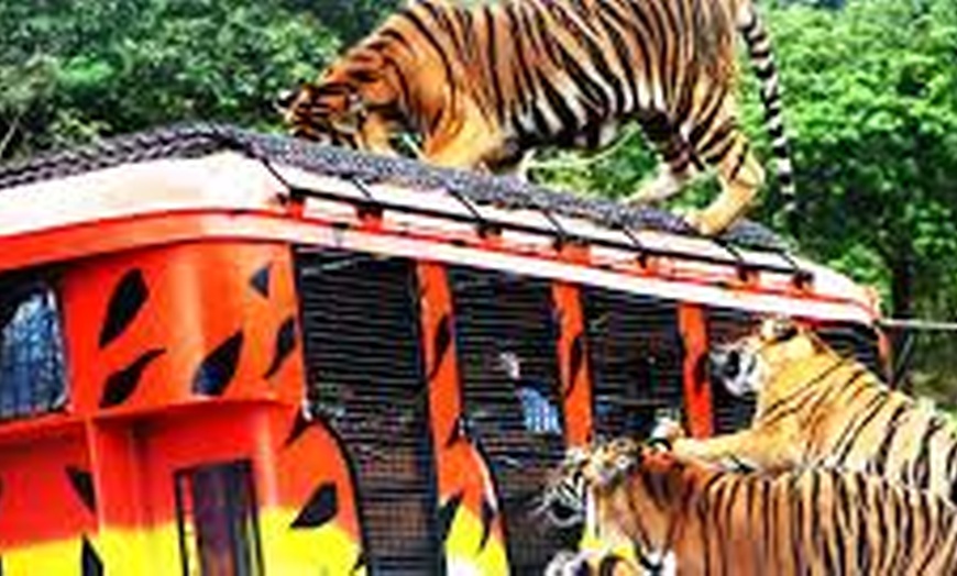 Image 4: $30 For $60 Worth Of A Family 4 Pack For Zoo Admission
