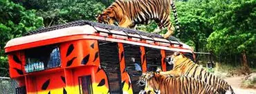 $30 For $60 Worth Of A Family 4 Pack For Zoo Admission