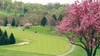 Online Booking - Round of Golf at Jones Golf Course – Speidel (at Oglebay Resort)