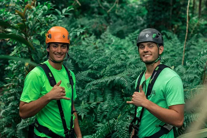 5 Line Jungle Zipline Eco Adventure