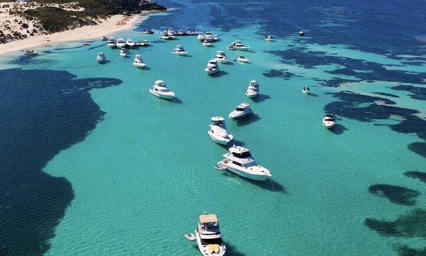 Image 7: Quokkas Delight Rottnest Island
