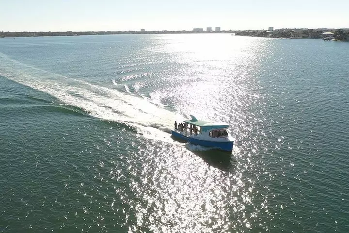 Shark Boat Destin Daytime Dolphin Watch and Sunset Cruise - Second Medium