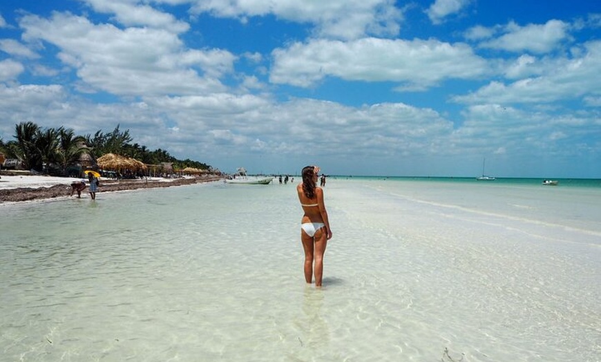 Image 5: Isla Holbox Day Tour from Cancun with Lunch Included