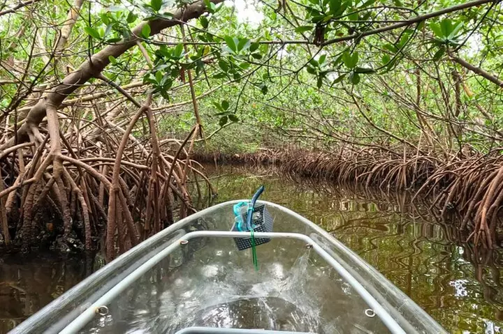 2 Hour Clear Kayak Tour at Emerson Point Preserve - Primary Image