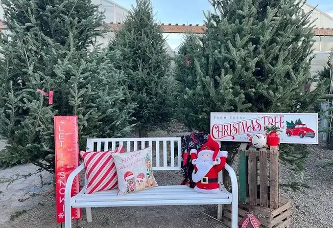 $20 For $40 Worth Of Goods & Services