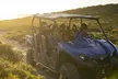 Ultimate Buggy Tour in Kangaroo Island - Image 2