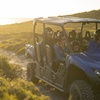 Image 2: Ultimate Buggy Tour in Kangaroo Island