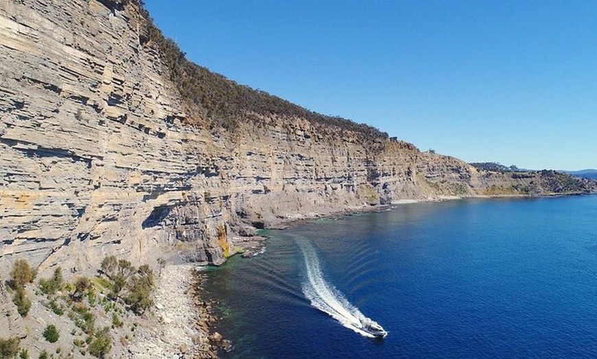 Image 10: Maria Island 3 hours and 30 mins Scenic Cruise