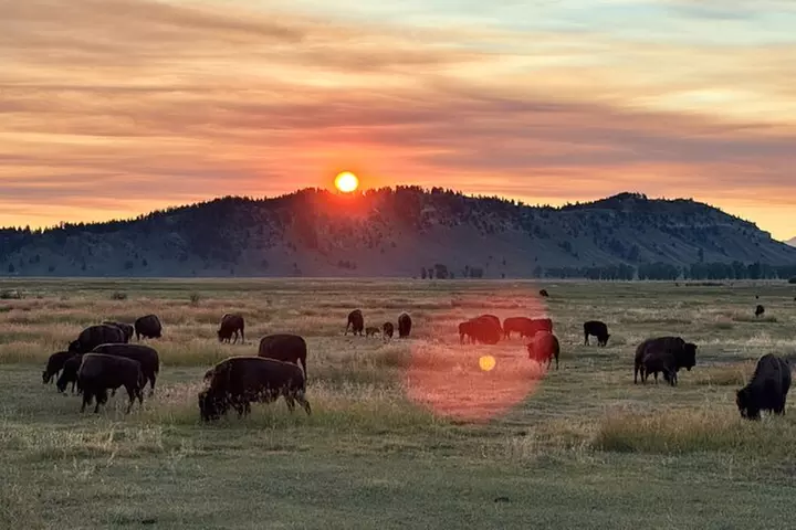 Teton & Yellowstone | Wildlife, Hot Springs, & Mountains PRIVATE