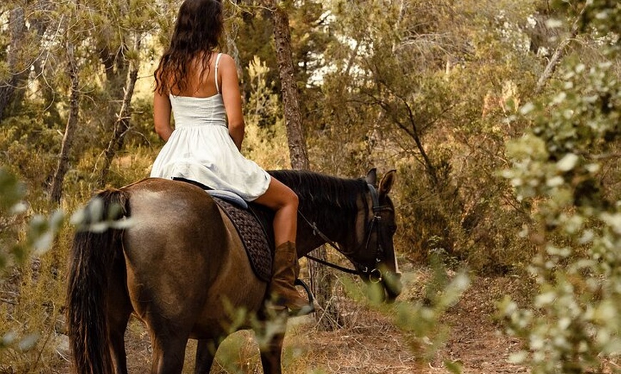 Image 16: Ibiza: Experiencia privada de naturaleza a caballo