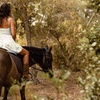 Image 16: Ibiza: Experiencia privada de naturaleza a caballo
