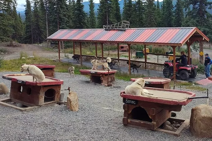 Husky Homestead Tour