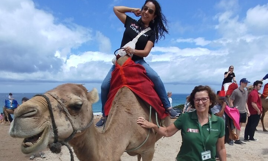 Image 2: Marruecos Aventura de 4 días desde Sevilla