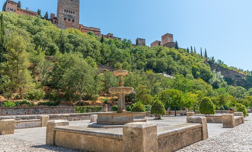 Image 11: Granada Albayzín y Sacromonte desde Estepona y Marbella