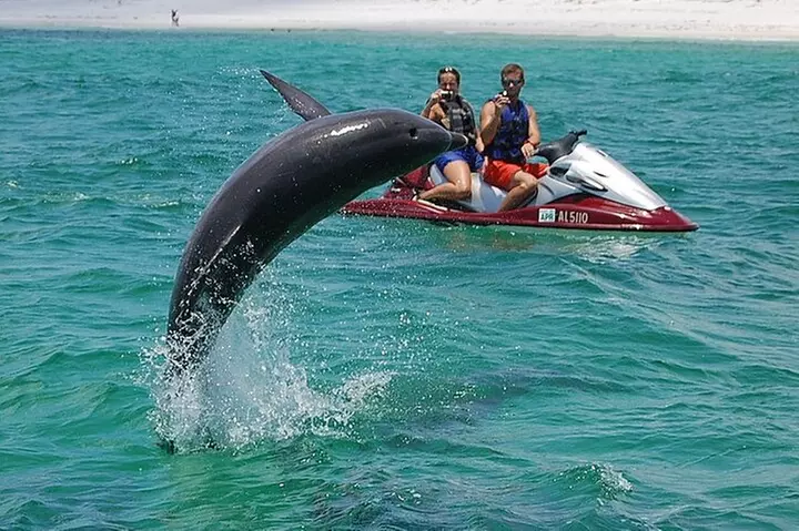 Crab Island Dolphin Jet Ski Adventure - Primary Image