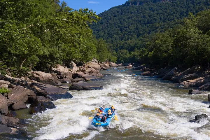 Half Day New River Gorge Whitewater Rafting - Second Medium
