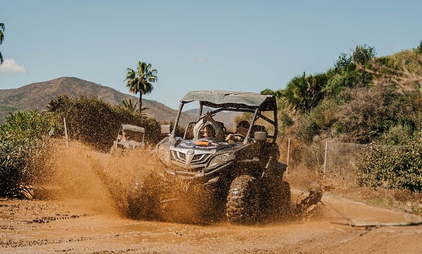 Image 14: 2 horas de experiencia de safari en buggy en las montañas de Mijas ...
