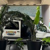 Image 19: Sightseeing Tour of Los Angeles from LAX Hotels