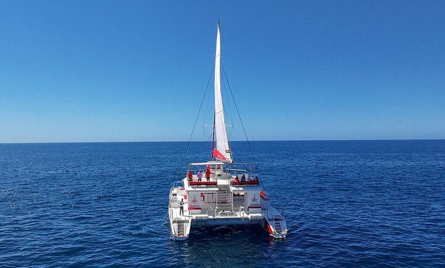 Image 5: Viaje de 4 horas en lujoso catamarán desde Puerto Rico
