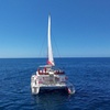 Image 5: Viaje de 4 horas en lujoso catamarán desde Puerto Rico