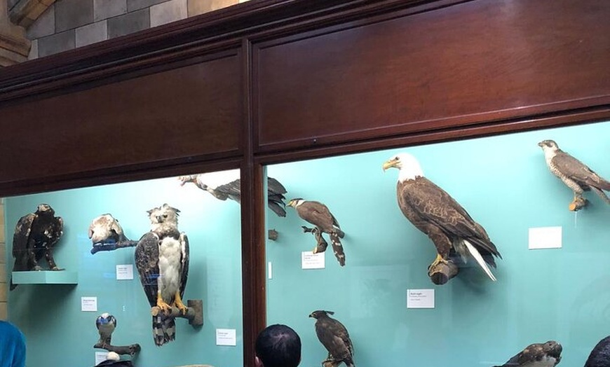 Image 45: London Walking Tour VIP