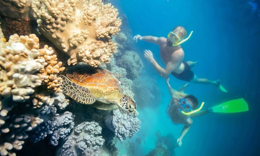 Image 5: 1 Day Green Island & Green Barrier Reef Day Tour from Cairns