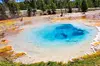 From Bozeman Yellowstone Full Day Tour Lower Loop