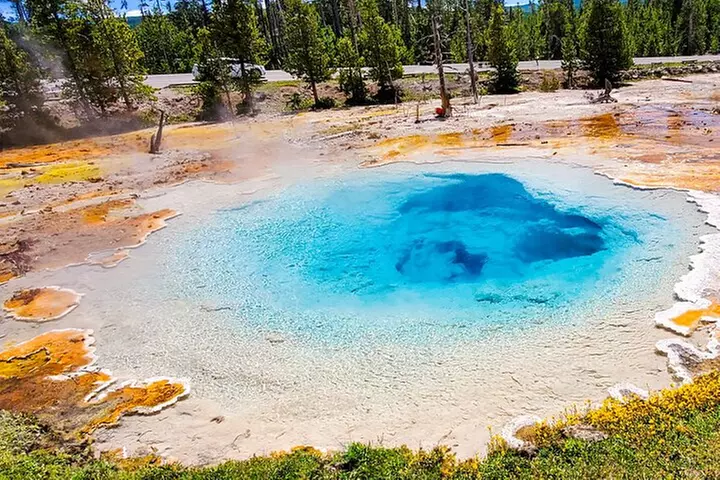 From Bozeman Yellowstone Full Day Tour Lower Loop - Primary Image