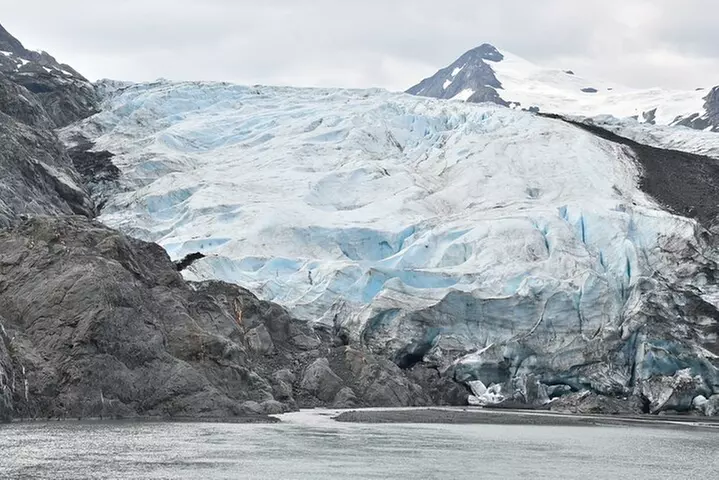 Valley of Glaciers Experience with Portage Glacier Cruise and Wildl...