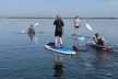 Dolphin and Manatee Clear Kayak or Paddleboard Tour - Second Medium