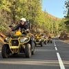 Image 4: Puerto de la Cruz: Vive el Teide en Quad – Por la mañana o Sunset