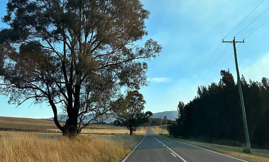 Image 14: Sydney Hunter Valley Boutique 4WD Tour with Lunch and Sunset