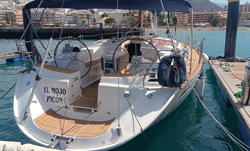 Image 2: Excursión en velero de Delfines y Ballenas en Los Gigantes