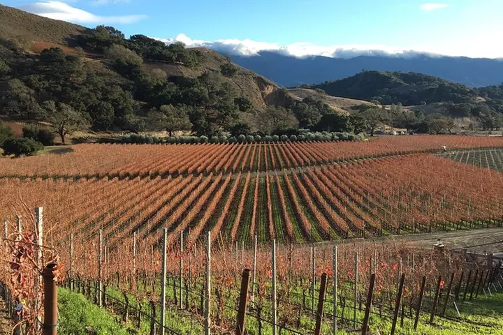 Small-Group Wine Tasting Tour of Santa Barbara Wine Country