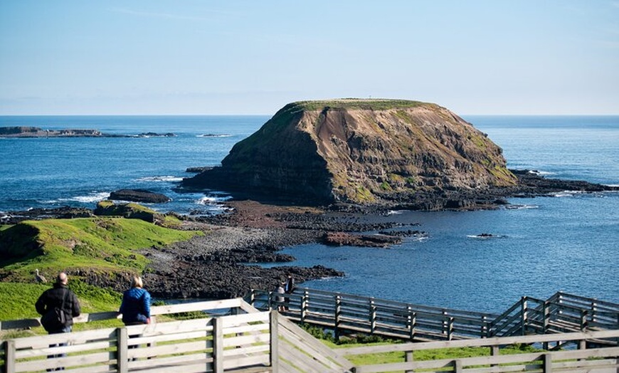 Image 6: Bunurong Coast and Penguin Parade Private Tour