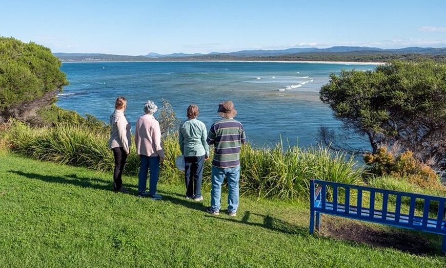 Image 13: Tour from Eden to Merimbula Wetlands Wildlife and Coastline