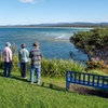 Image 13: Tour from Eden to Merimbula Wetlands Wildlife and Coastline