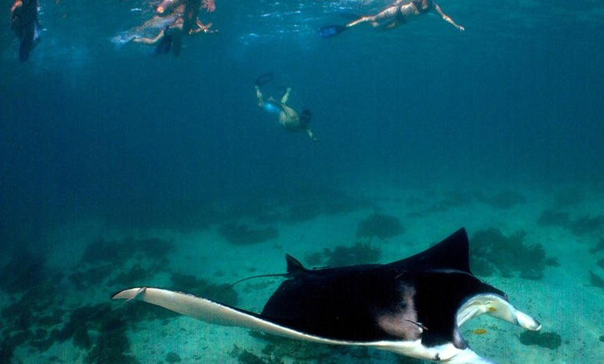 Image 8: 3 Night Ningaloo Reef Snorkel and Dive Getaway from Coral Bay