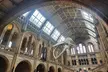 London Natural History Museum Audio Tour + Skip Queue Free Ticket - Image 4
