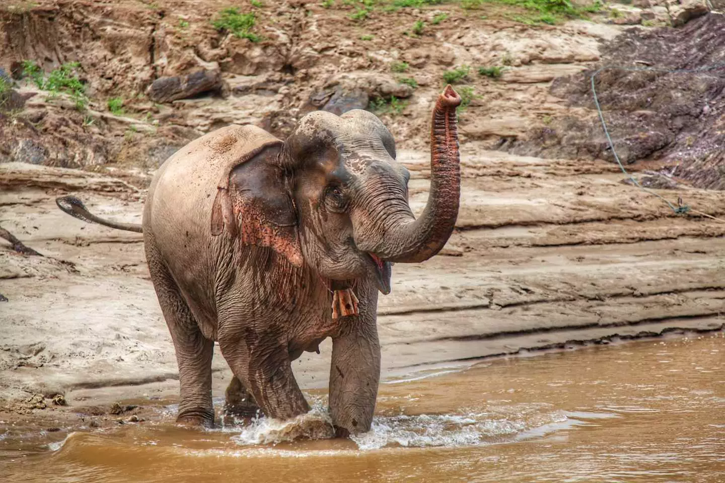 ✈ LAOS | Luang Prabang - Entdecken Sie das wilde, spirituelle und a...