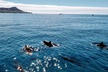 Private Snorkeling and Wildlife on The Adventure Boat - Second Medium